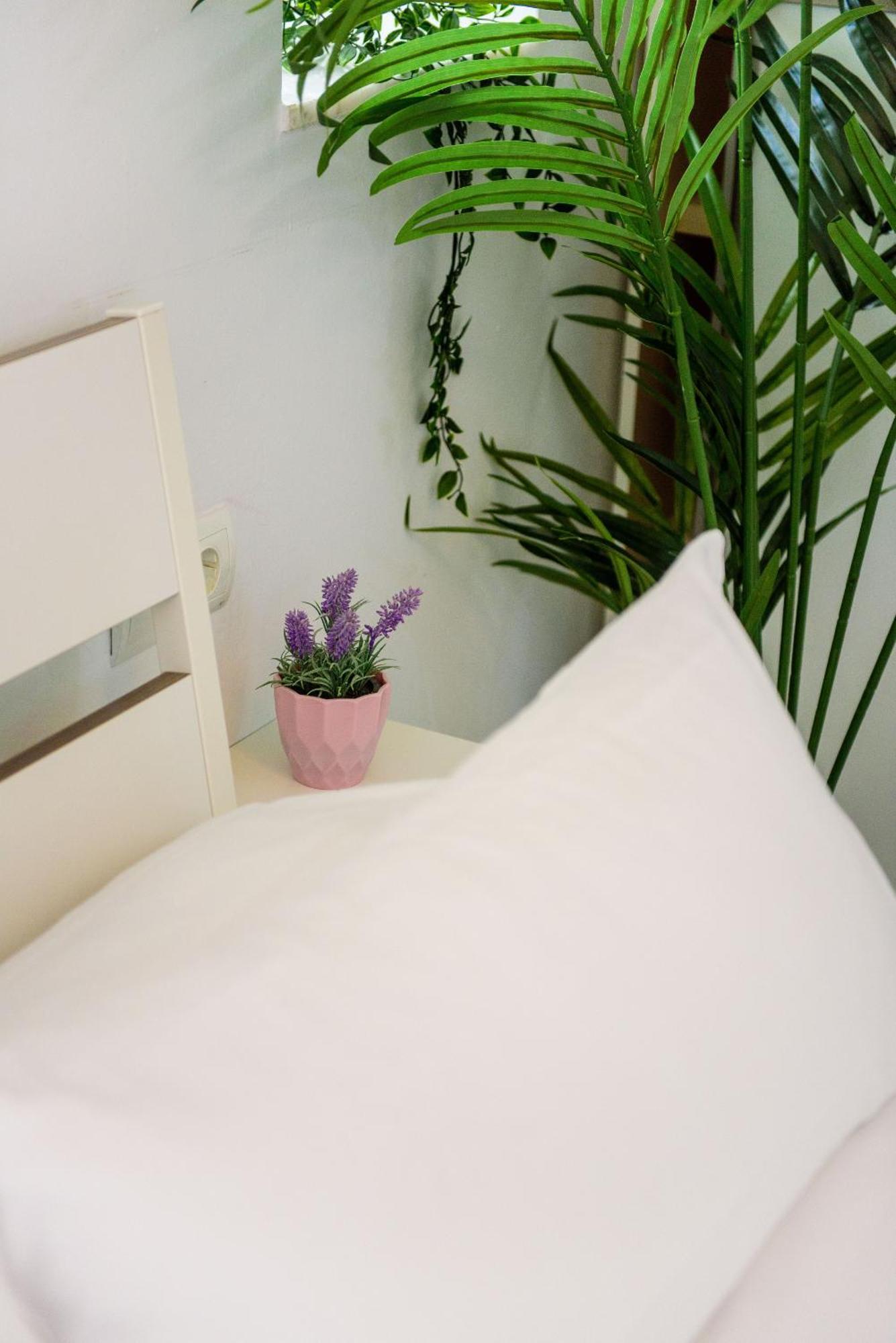 Livingtarifa Apartamento Bianco Kültér fotó